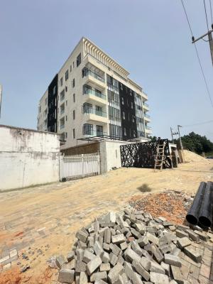 Newly Built 2 Bedroom Apartment with Bq ,pool,gym &elevator, Ikate, Lekki, Lagos, Flat / Apartment for Sale