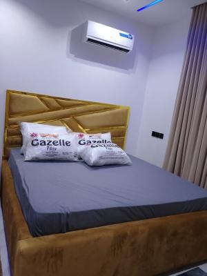 Brand New Fully Furnished 2 Bedroom Apartment with Excellent Facilitie — Lekki Phase1, Lekki, Lagos