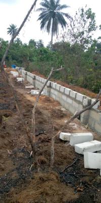 Beaconed 3-plots Land Isiokpo Near Airport  Gov. Approved Survey, Isiopko, Ikwerre, Rivers, Residential Land for Sale