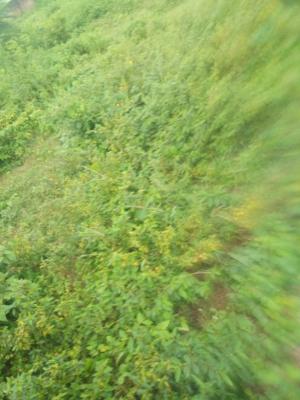 a Residential Plot of 1600sqm, By Starvile School, Jahi, Abuja, Residential Land for Sale