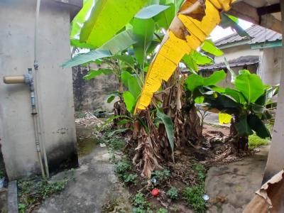 Land Measuring 430sqm Available for Jv at Lake View Estate 1, Amuwo, Lake View Estate Phase 1, Amuwo Odofin, Lagos, Residential Land Joint Venture