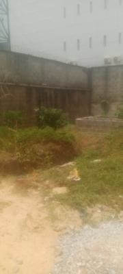 Prime Land, A11, Guzape District, Abuja, Mixed-use Land for Sale