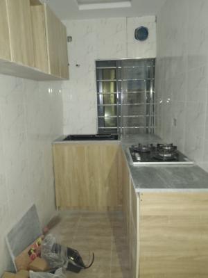 Newly Built 2 Bedroom Flat, Off Adelabu Road Surulere, Surulere, Lagos, Flat / Apartment for Rent