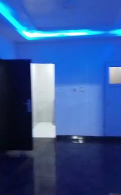 Spacious Standard One Bedroom Apartment, Ogudu, Lagos, Mini Flat (room and Parlour) for Rent