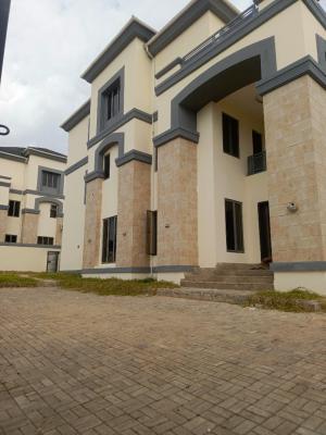 Nicely Finished 6 Bedrooms Detached Duplex with a Bq, Asokoro District, Abuja, House for Rent