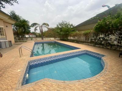 Serviced 2 Bedroom Flat, Oba Aken  Street, Asokoro District, Abuja, Flat / Apartment for Rent