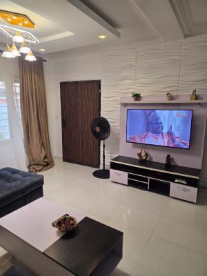Luxury Fully Furnished 2 Bedroom Apartment with Excellent Facility, Ikate, Lekki, Lagos, Flat / Apartment for Rent