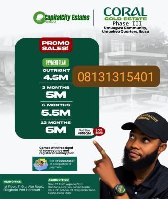 Plots of Affordable Land in Ibusa, Umueka Quarters Ibusa, Oshimili North, Delta, Residential Land for Sale