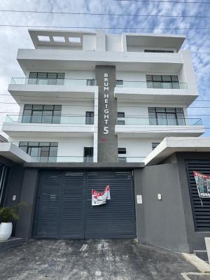 Well Finished 2 Bedroom Apartment with an Elevator, Gym & Pool, Ikate Lekki Lagos, Ikate, Lekki, Lagos, Flat / Apartment for Sale