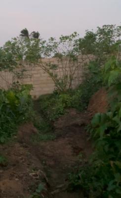 Buy 8 Plots, Get Extra Land Free, Chinyere Maternity Road, Eneka, Port Harcourt, Rivers, Mixed-use Land for Sale