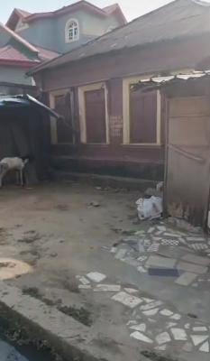 *semi Direct Brief*  a Bungalow on a Full Plot of Land I, Yaba, Lagos, Flat / Apartment for Sale