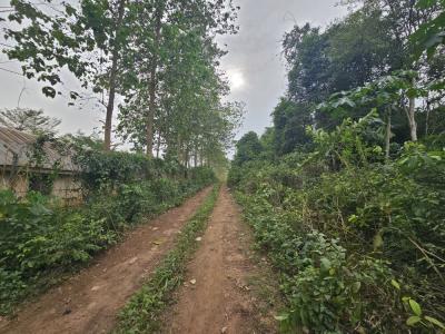 44 Acres of Farmland, Olorunda, Kobape, Abeokuta South, Ogun, Land for Sale