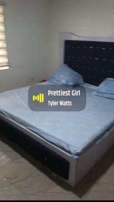 Video Available, Beautiful Furnished Studio Apartment with a Shared Co, Kofo Abayomi, Victoria Island (vi), Lagos, Flat / Apartment for Rent