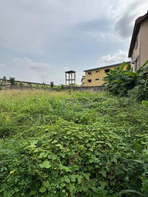 an Empty Land Close to Proximity Landmark Areas, Ajao Estate, Ikeja, Lagos, Mixed-use Land for Sale