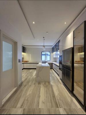 Super 9units of 2bedroom Apartment with 1unit of Room Self, Ikate, Lekki, Lagos, House for Sale