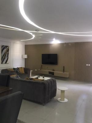 a Well Maintained Semi-furnished 1 Bedroom Apartment, Phase 1, Lekki, Lagos, Mini Flat (room and Parlour) for Rent