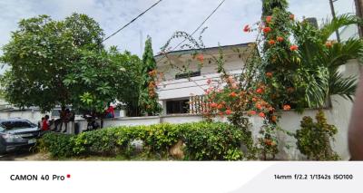 Spacious Well Maintained 5 Bedroom Fully Detached House with 2 Room Bq, Victoria Island, Victoria Island (vi), Lagos, Commercial Property for Rent