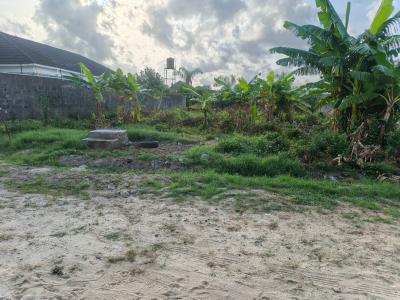High-value Land Perfect for Residential & Commercial Projects, Peace Land Estate, Ogombo, Ajah, Lagos, Mixed-use Land for Sale