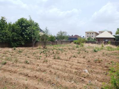 Strategic Residential Plot of Land with Approved Development, Phase 4, Nyanya District, Nyanya, Abuja, Residential Land for Sale