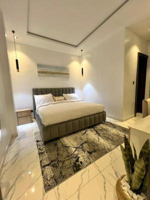 Luxury and Furnished  2bedroom Apartment with Bq, Lekki Phase1 Proper, Lekki, Lagos, Flat / Apartment for Rent