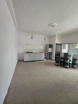 Mini Flat — Victoria Island (VI), Lagos