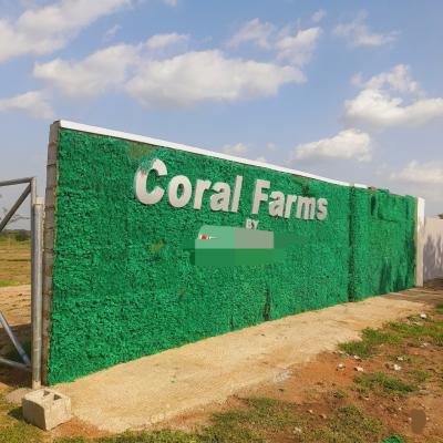 Acres & Hectares of Plantain and Palm Oil Farmlands at Iseyin Ibadan, Iseyin, Ibadan, Oyo, Land for Sale