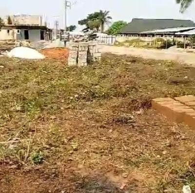 100ft By 200ft Commercial Land, Obagie Tarred Road, Off Sapele Road, Benin, Oredo, Edo, Commercial Land for Sale