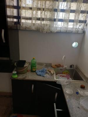 Service Mini Flat in Victoria Island, Vi, Victoria Island (vi), Lagos, Flat / Apartment for Rent