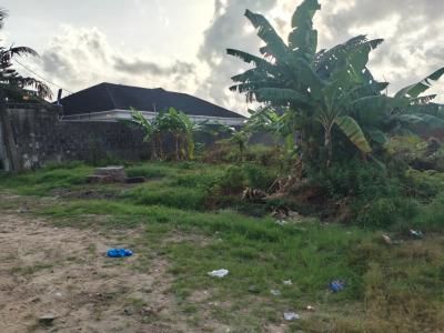 Land  with C of O Title Measuring 667 Sqm, Peaceland Estate, Ogombo, Ajah, Lagos, Mixed-use Land for Sale