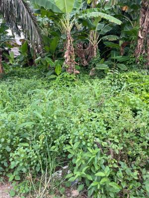 20 Hectares of Mixed-use Land, Guzape 2, Guzape District, Abuja, Mixed-use Land for Sale