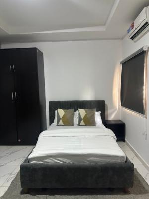 Large Fully Furnished Studio Apartment, Amodu Tijani Close, Off Sanusi Fafunwa, Victoria Island (vi), Lagos, Mini Flat (room and Parlour) for Rent