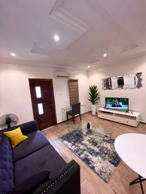 Luxury 1 Bedroom with Amazing Facilities and 247 Electricity, Off Admiralty, Lekki Phase 1, Lekki, Lagos, Mini Flat (room and Parlour) for Rent