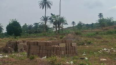 Plots of Land Facing Express Road, Opposite Shasha Market, Ondo Road, Akure, Ondo, Mixed-use Land for Sale