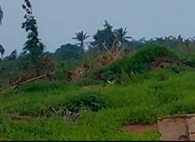 650sqm of Land, Atumiga, Asaba, Delta, Land for Sale