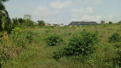 2 Standard Plot Facing The Express, Adjacent Khadob College, Shasha, Akure, Akure, Ondo, Mixed-use Land for Sale