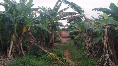 Redevelopable Land / Property, Siluko Road, Benin, Oredo, Edo, Land for Sale