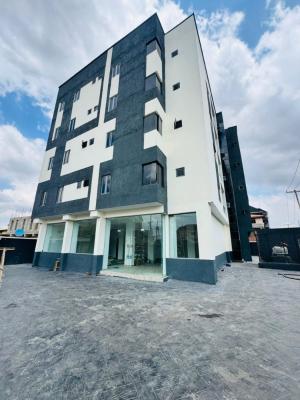 Exquisite Built 2 and 3 Bedroom Apartment with a Room BQ