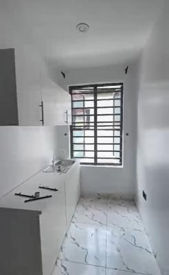 Standard Studio Selfcon Apartment { Video}, Bera Estate Chevron, Lekki, Lagos, Self Contain (single Rooms) for Rent