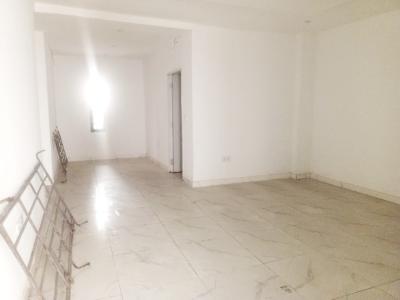 Newly Built Luxury 2 Bedroom Flat, Chevron Drive, Lekki, Lagos, Flat / Apartment for Rent
