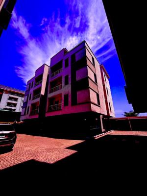Newly 2bedroom Apartment with a Pool, Gym in a Call to Access Estate, Ikate, Lekki, Lagos, Flat / Apartment for Rent