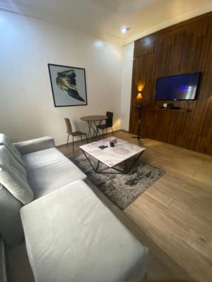 Luxury 1 Bedroom with 247 Electricity, Off Admiralty Way, Lekki Phase 1, Lekki, Lagos, Mini Flat (room and Parlour) for Rent