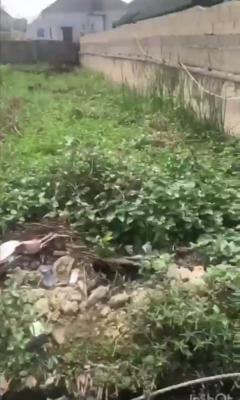 a Full Plot of Land, Gra, Ogudu, Lagos, Mixed-use Land for Sale