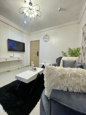 1 Bedroom Apartment, Lekki Phase 1, Lekki, Lagos, Mini Flat (room and Parlour) Short Let