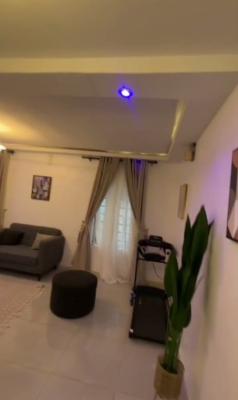 Fully Furnished, Executive Magnificent Spacious 2 Bedroom Apartment, Joseph Harrison, Yaba, Lagos, Flat / Apartment for Rent