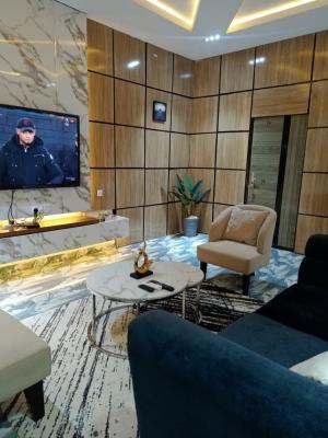 Full Furnished 1 Bedroom Apartment, Osapa, Lekki, Lagos, Mini Flat (room and Parlour) for Rent