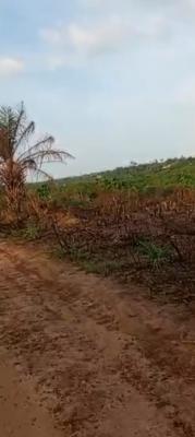 152acres at Odoasonyin Closer to Main Road  Ijebu Isiwo, Ijebu Isiwo Ijebu Ode Ogun State, Ijebu Ode, Ogun, Residential Land for Sale