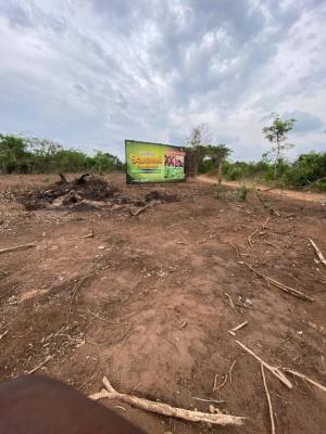 Turn Land Into Wealth! Premium Agricultural Plots Available, Odeda, Ogun, Land for Sale