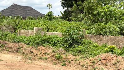2 Separate Plots of Land Besides Each Other, Palm View Estate, Alagbaka, Akure, Ondo, Land for Sale