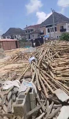 261sqm on Interlocked Road, Ikota Gra, Ikota, Lekki, Lagos, Residential Land for Sale