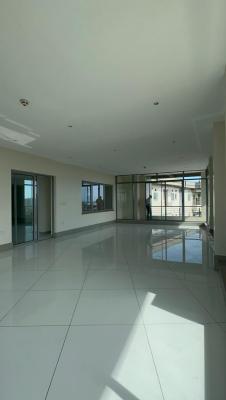 Luxury 4 Bedroom Penthouse with Excellent Facilities, Victoria Island (vi), Lagos, Flat / Apartment for Rent